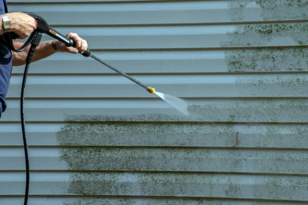 Best Pre-Holiday Cleaning  in Mount Airy, GA